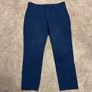 Express Men's Deep Blue Chinos